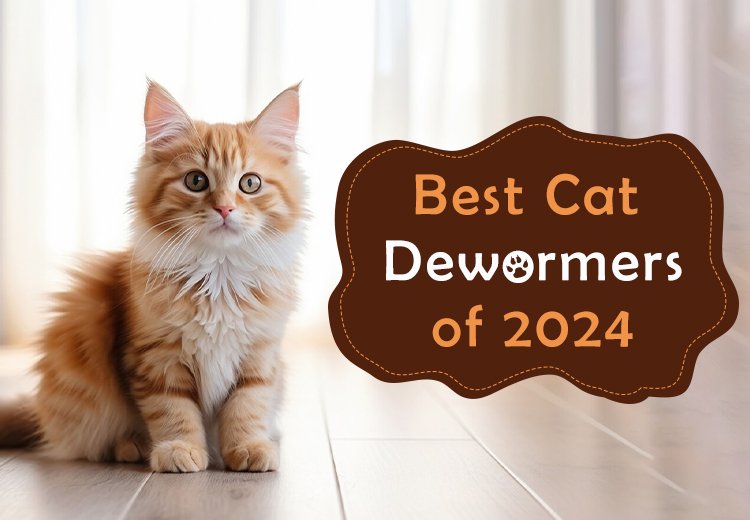 OPW-Blog-Best-Cat-Dewormers-May24_05142024_043024.jpg