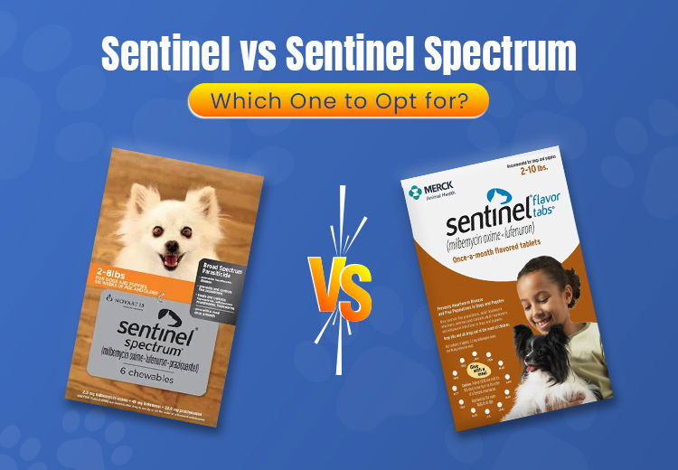 OPW-Blog-Sentinel-Vs-Sentinel-Spectrum-June25_06232025_014537.jpg