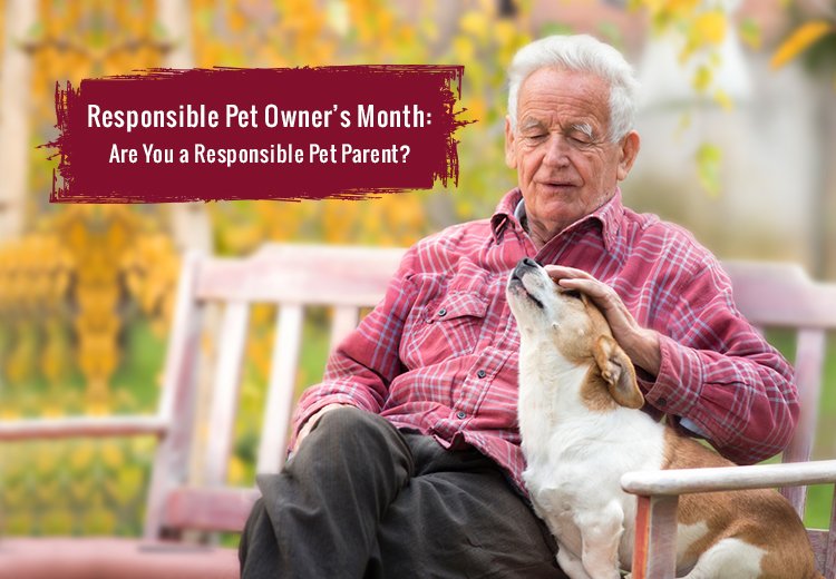 OPW-Responsible-Pet-Owners-Month_02072022_010746.jpg