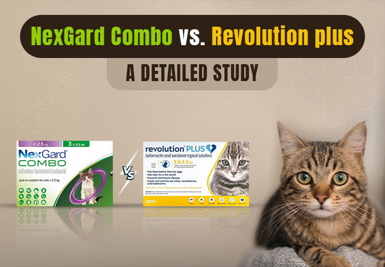 Ourpetwarehouse-Nexgard-Combo-vs-Revolution-Plus-for-Cats-2025_07162025_232421.jpg