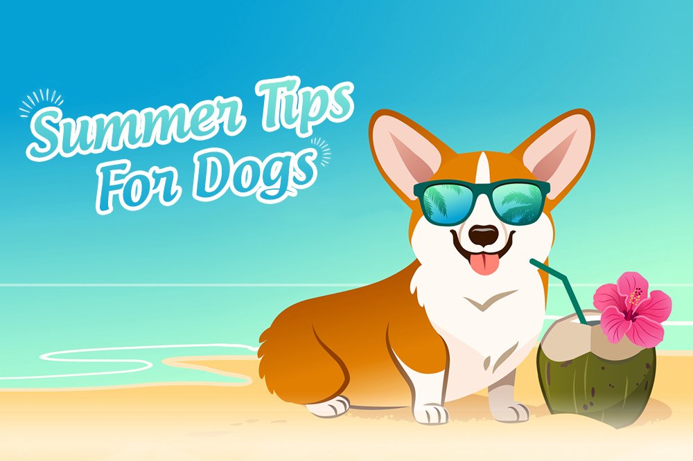 Summer-Tips-Dogs_06212022_213726.jpg
