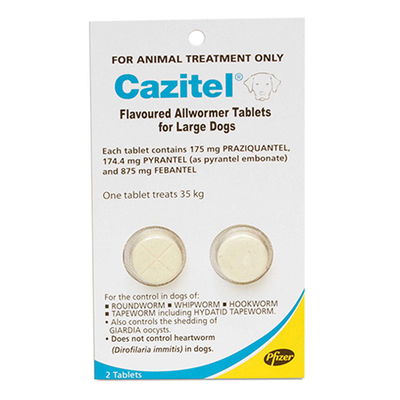 Cazitel Flavoured Allwormer