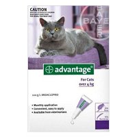 Advantage-Cats-over-10lbs-Purple-for-Cats-Flea-and-Tick-Control.jpg
