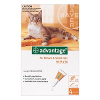 Advantage-Kittens-and-Small-Cats-1-10lbs-for-Cats-Flea-and-Tick-Control.jpg