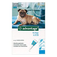 Advantage-Medium-Dogs-11-20lbs-Aqua-for-Dogs-Flea-and-Tick-Control.jpg