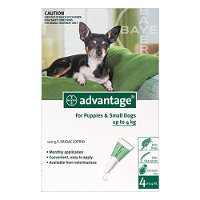 Advantage-Small-Dogs-Pups-1-10lbs-Green-for-Dogs-Flea-and-Tick-Control.jpg