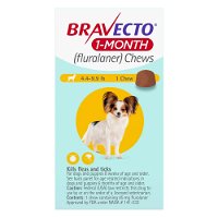 Bravecto-1-Month-45mg-1-tablet-pack-very-small-dogs-2-4.5kg-yellow_08102023_021032.jpg