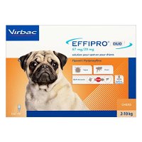 Effipro-duo-spot-on-small-dog.jpg