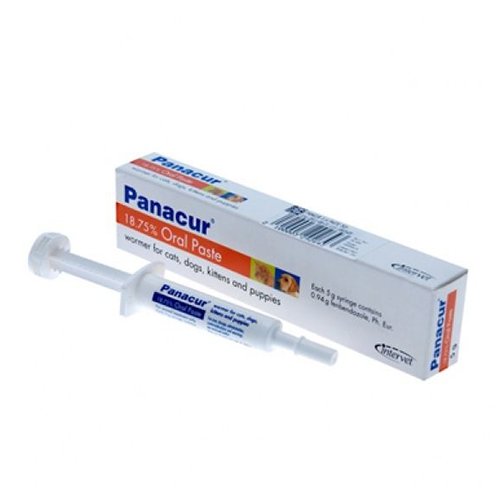Panacur Oral Paste  for Dog Supplies