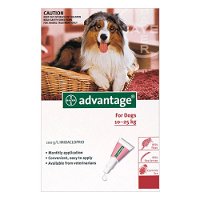 advantage-large-dogs-21-55lbs-red-1600.jpg