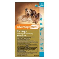 advantage-multi-advocate-medium-dogs-91-20-lbs-aqua-1600.jpg