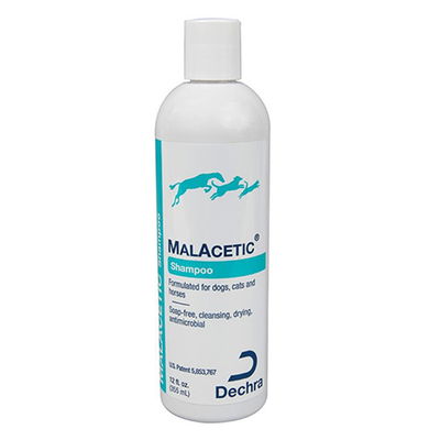 Malacetic Shampoo