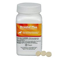 drontal-plus-for-dogs-flavor_03292021_011431.jpg