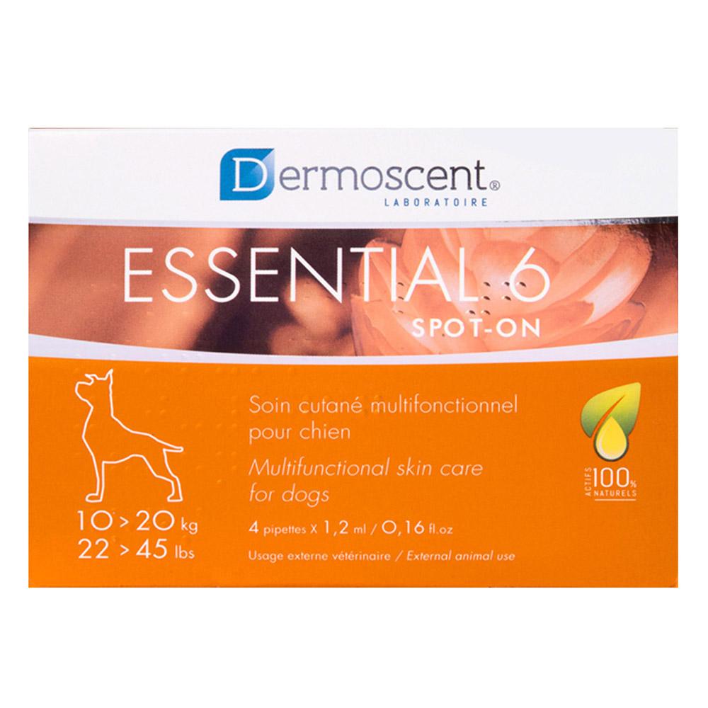 Essential 6 for Dogs for Dog Supplies