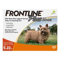 frontline-plus-for-small-dogs-up-to-22lbs-orange-1600.jpg