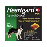 heartgard-plus-chewables-for-medium-dogs-26-50lbs-green-1600.jpg