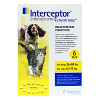 interceptor-for-dogs-26-50-lbs-yellow_09272021_022426.jpg