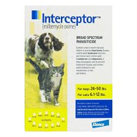 interceptor-for-medium-dogs-26-50-lbs-yellow-1600.jpg