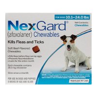 nexgard-chewables-for-medium-dogs-101-24-lbs-blue-28mg-1600.jpg