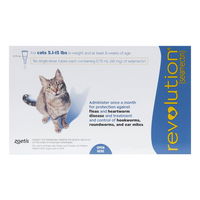 revolution-for-cats-5-15lbs-blue-1600.jpg
