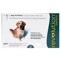 revolution-for-large-dogs-40-1-85lbs-green.jpg