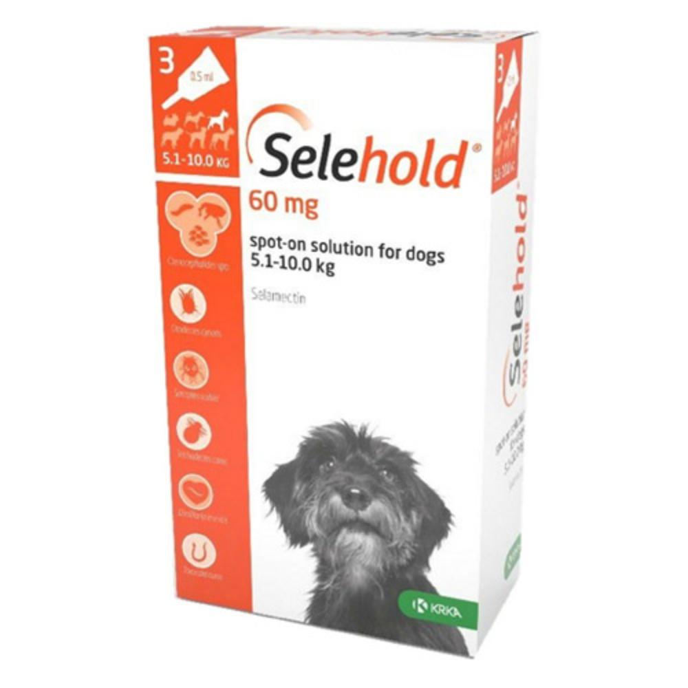 Selehold for Dogs