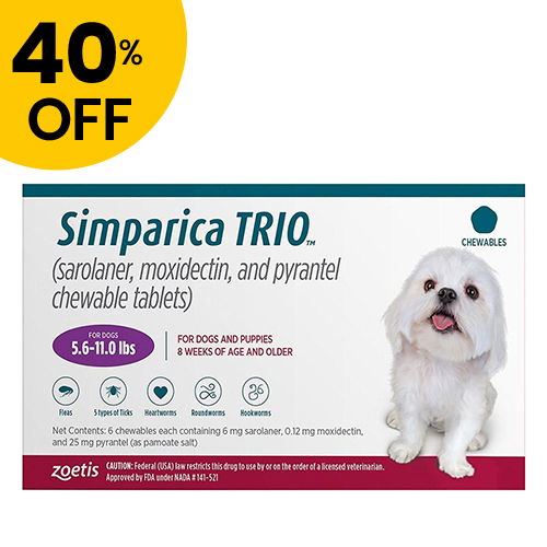 Simparica purple deals for dogs