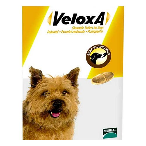 Veloxa for Dog Supplies
