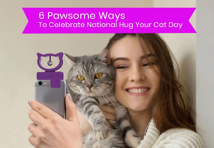 6 Pawsome Ways To Celebrate National Hug Your Cat Day