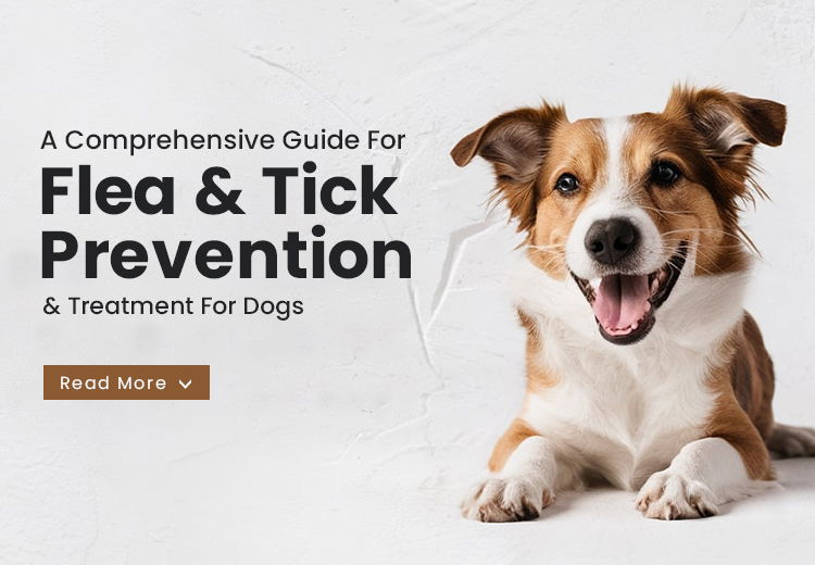 The Complete Guide to Flea and Tick Prevention and Treatment for Dogs