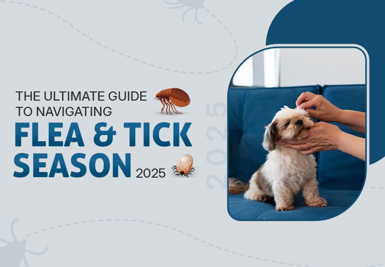 OPW-Blog-Flea-and-Tick-Season-2025_04082025_010629.jpg