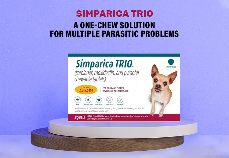 Simparica Trio: A One-Chew Solution for Multiple Parasitic Problems