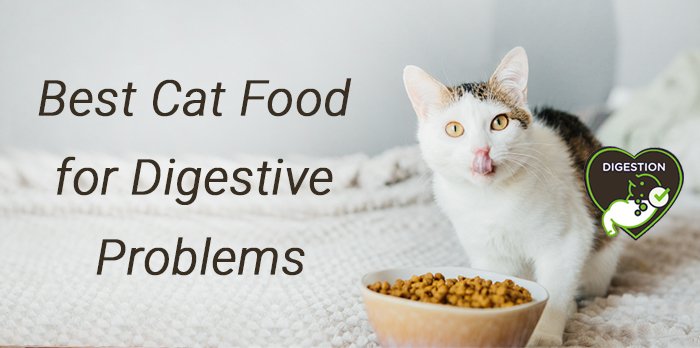 Best Cat Food for Digestive Problems