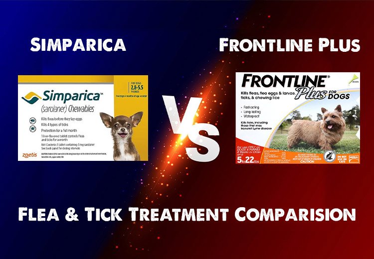 Simparica vs. Frontline Plus – Flea & Tick Treatment Comparison