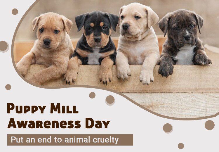 Puppy Mill Awareness Day - Put An End To Animal Cruelty