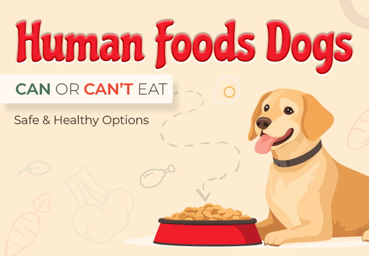 image-of-human-foods-dogs-can-eat-from-ourpetwarehouse_12232024_033953.jpg