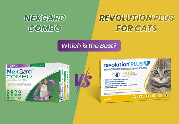 Which One is Better for your Dog – Interceptor Plus vs Heartgard Plus?