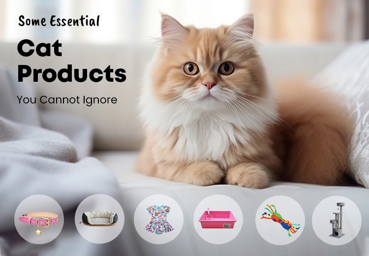 Some Essential Cat Products You Cannot Ignore