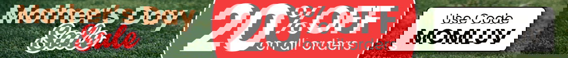 inner banner