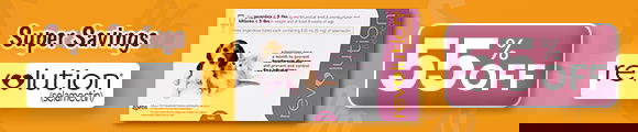 inner banner
